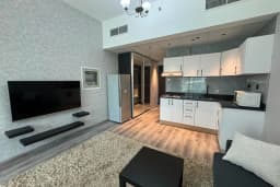 Fully Furnished and Upgraded Studio/Rented 7